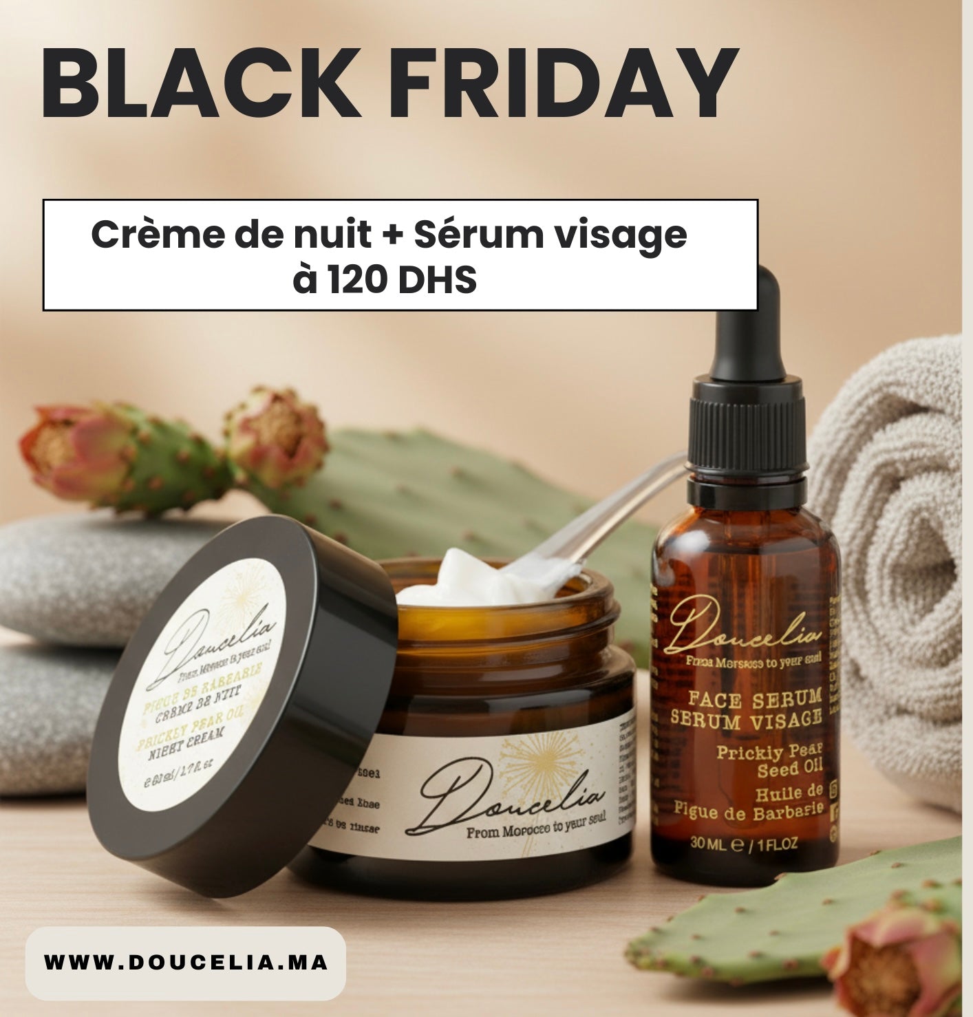 Offre Spéciale : BLACK FRIDAY 2025