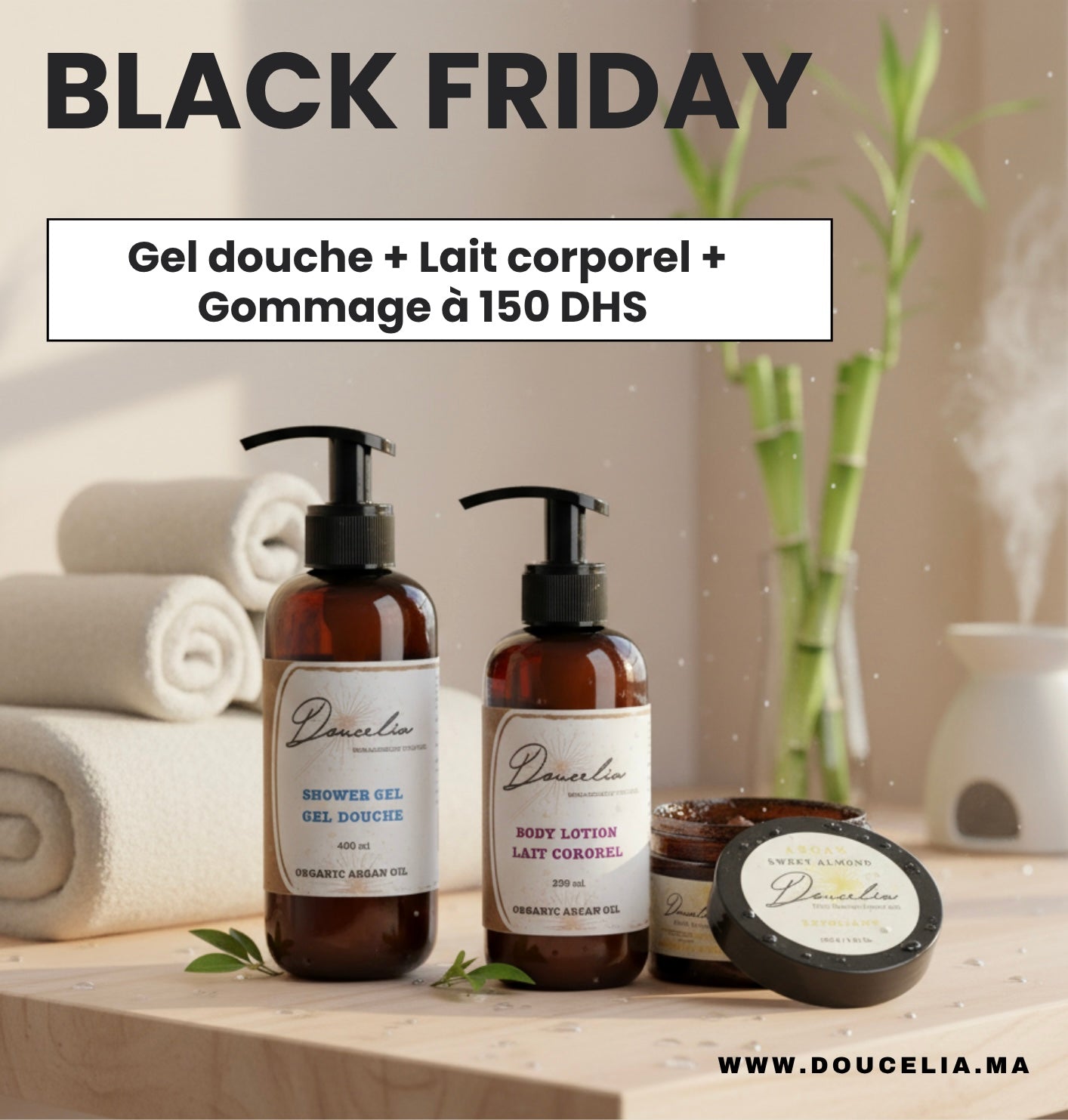 Offre Spéciale : BLACK FRIDAY 2025